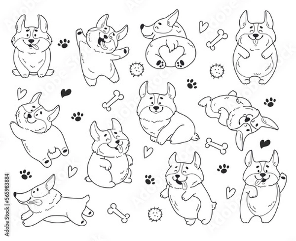 Fototapeta Corgi cute dog vector set sticker back front icon cartoon animal illustration. Vector cartoon graphic design element