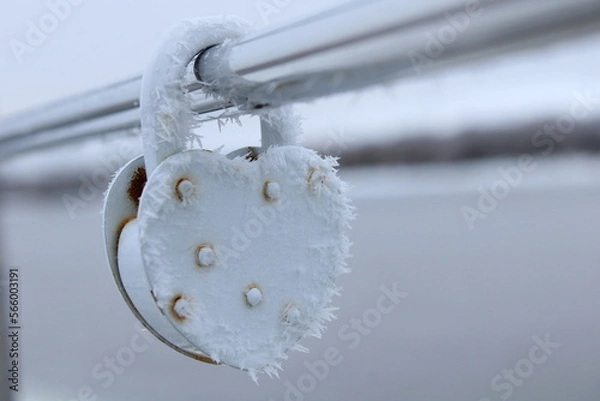 Fototapeta lock in snow on bridge at winter