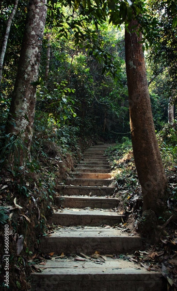 Obraz Somewhere while travelling in Magical India