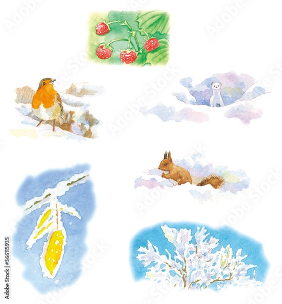 Obraz 2月イメージイラスト