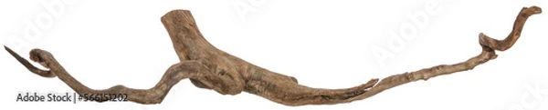 Fototapeta Piece of a root / trunk with many thin branches, river wood, driftwood, aquarium design element - isolated on transparent background - png - image compositing footage - alpha channel 