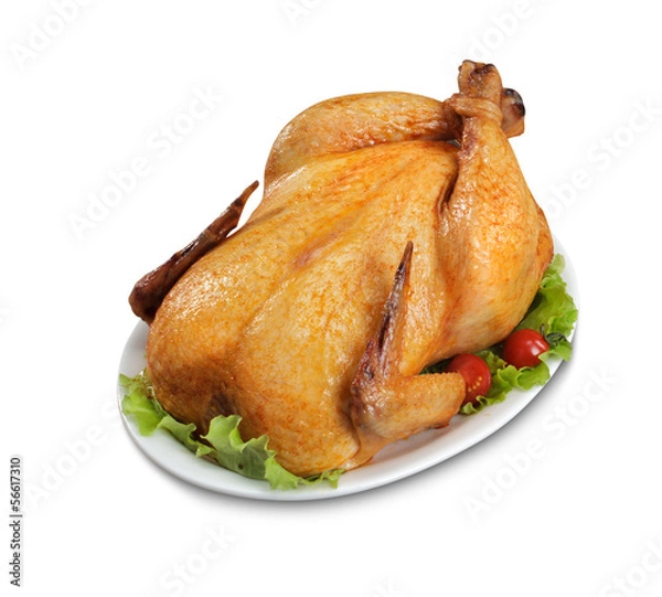 Obraz Chicken