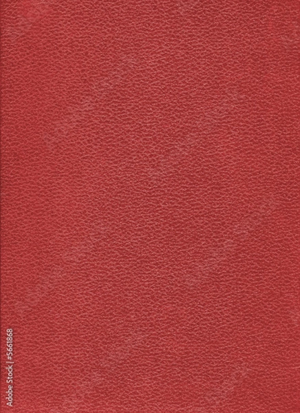 Obraz Red book embossed leather hard cover texture XXL