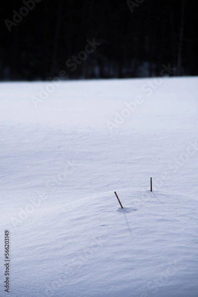 Fototapeta 滑らかな質感の雪原に枯枝。