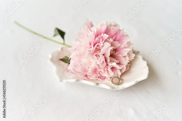 Obraz pink carnation flower