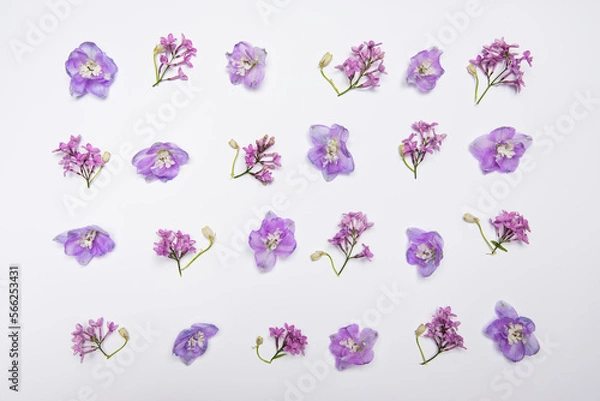 Obraz Beautiful spring flowers background. Spring time is comig