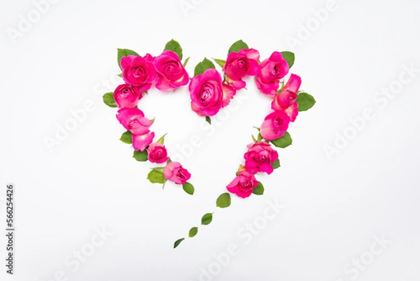 Obraz Beautiful spring flowers background. Spring time is comig