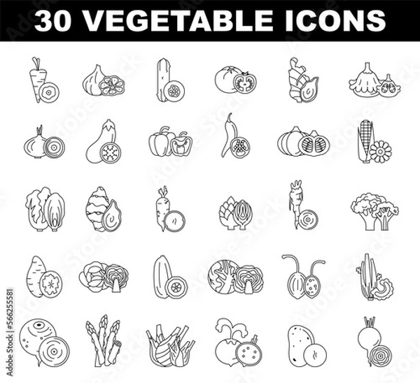 Fototapeta Vegetables black and white icons set. Simple line symbol of fresh