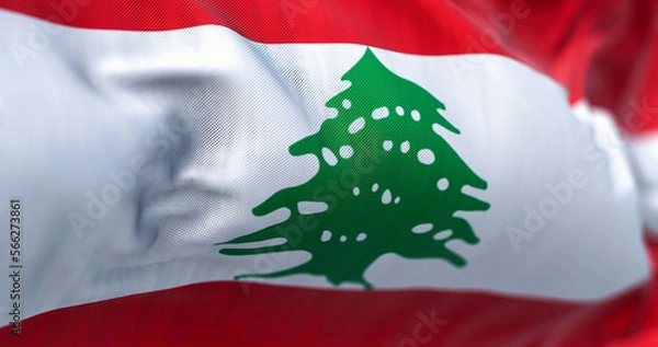 Fototapeta Close-up view of the Lebanon national flag waving in the wind