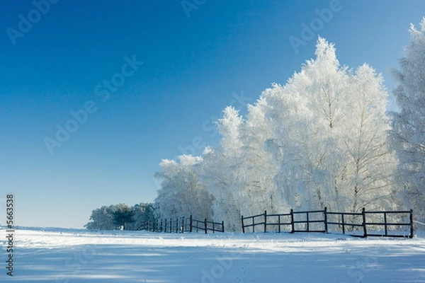 Obraz Winter landscape and trees