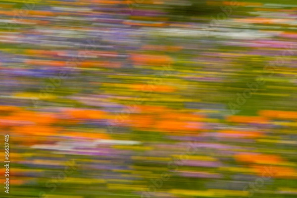 Obraz image blur created in camera