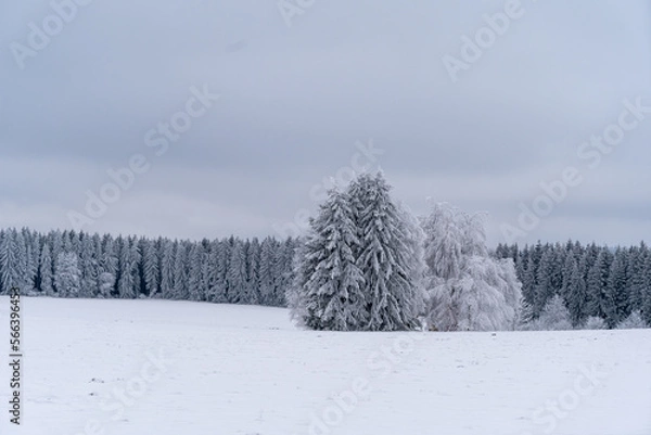 Obraz Winterlandschaft