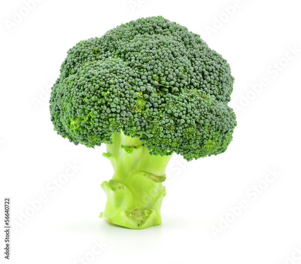 Obraz Isolated Broccoli