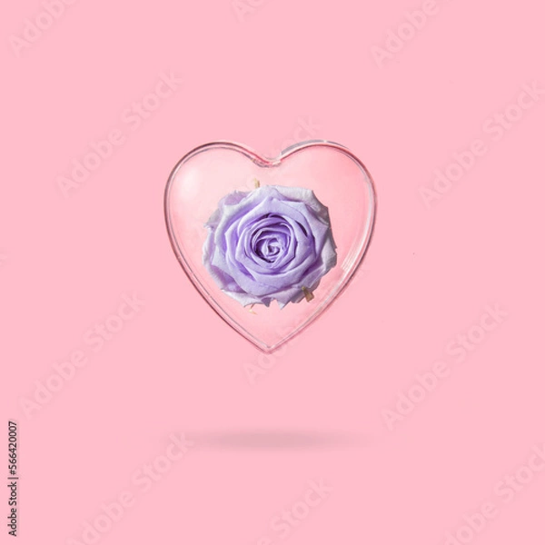 Fototapeta Purple rose in heart shaped bubble on pastel light pink background. Modern Valentine's Day concept. Creative love idea. Minimalistic Mother's Day composition.