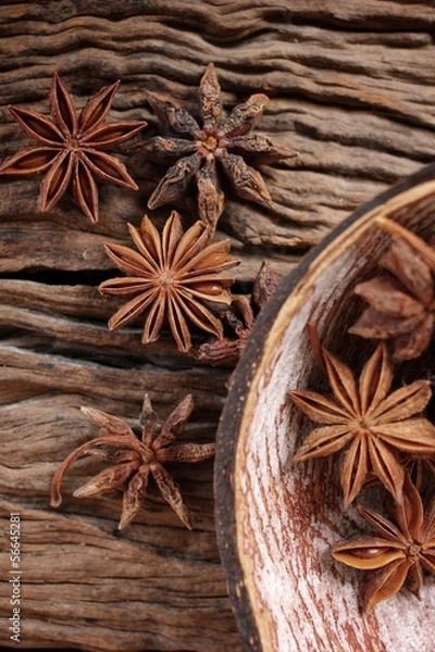Obraz Star anise