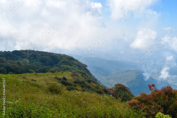 Obraz Top of the Doi Inthanon mountain of the Chiang Mai, Thailand