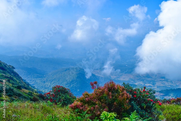 Obraz Top of the Doi Inthanon mountain of the Chiang Mai, Thailand