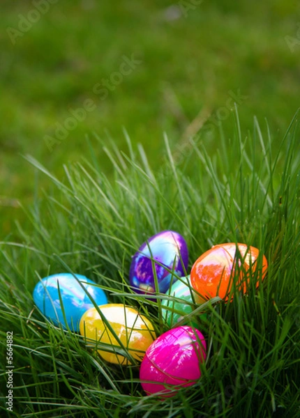Obraz Plastic Colorful Easter Eggs in Grass