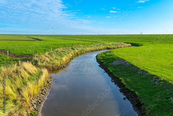 Fototapeta Salt marsh in the dike foreland of Hilgenriedersiel near the seaside resort of Norden on the East Frisian North Sea coast