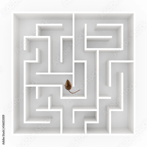 Obraz Mouse in maze