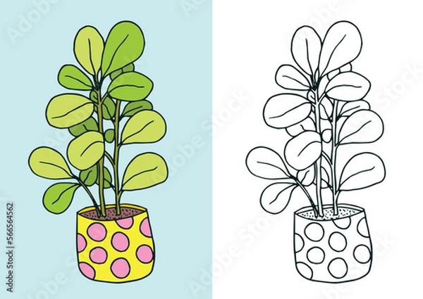 Obraz Coloring page with flowers in pot. Linear monochrome and colored version of illustration. Cute home flowers for coloring book.