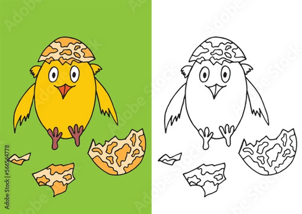 Obraz Coloring childish page. Linear monochorme and colored version of illustration. Illustration for coloring book. Cute chick with eggs for children book. Easter illustration.