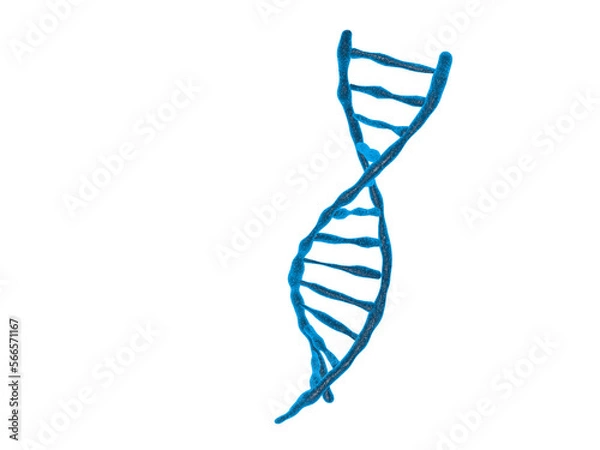 Fototapeta DNA structure isolated background 3d illustration	
