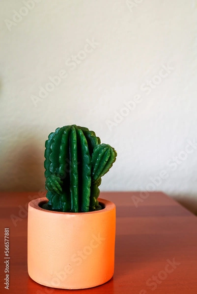 Fototapeta Cactus in ceramic pot on wooden table. Pot with artificial small green plant, front view. Exotic and tropical concept.Copy space, vertically oriented image...