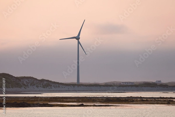 Obraz wind turbine at sunset