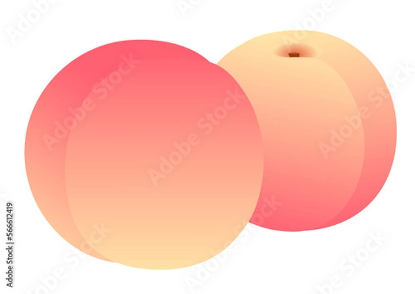 Obraz Illustration of two ripe peaches
