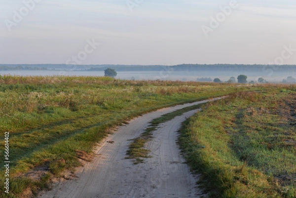 Obraz field fog dirt road
