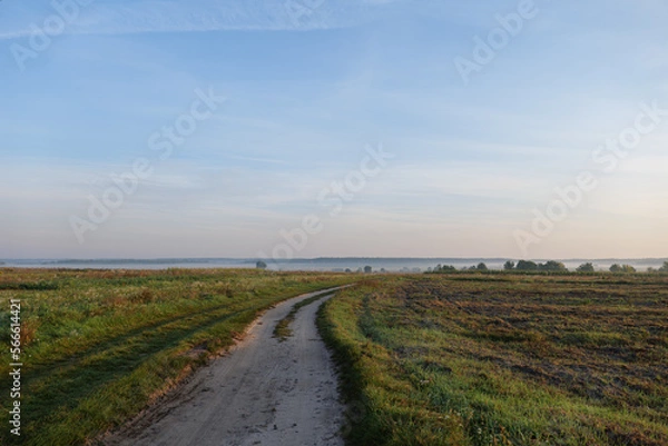 Obraz field fog dirt road