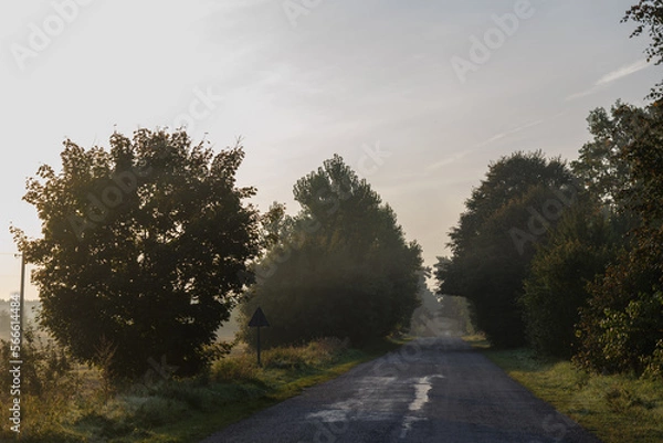 Obraz Road in rural landscape with fields both sides. Early morning with mist and fog. Glow from rising sun.