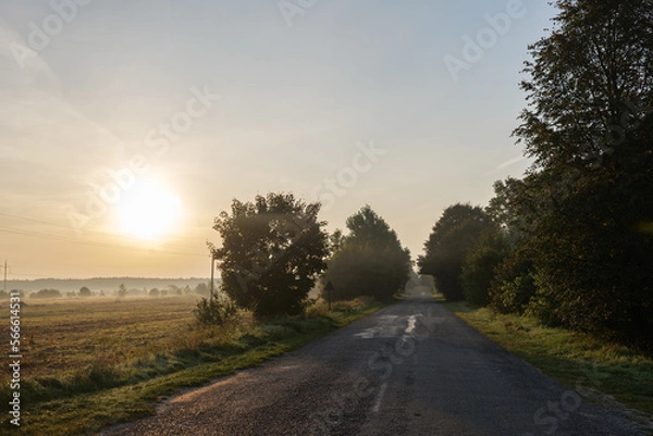 Obraz Road in rural landscape with fields both sides. Early morning with mist and fog. Glow from rising sun.