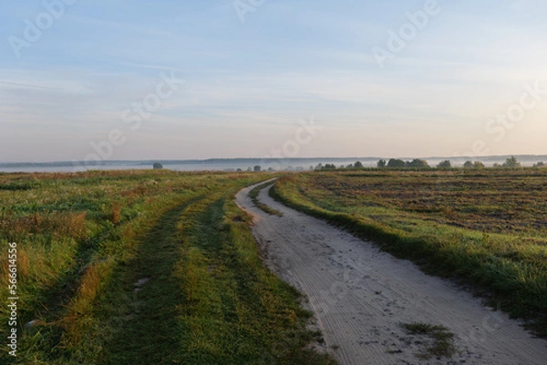 Obraz field fog dirt road
