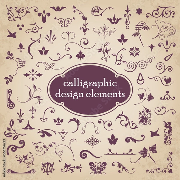 Fototapeta Decorative graphic elements - vector set