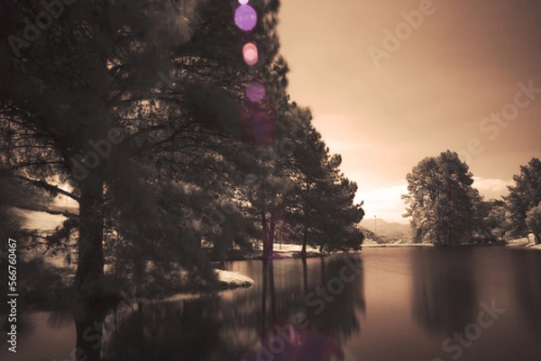 Obraz Infra red landscapes