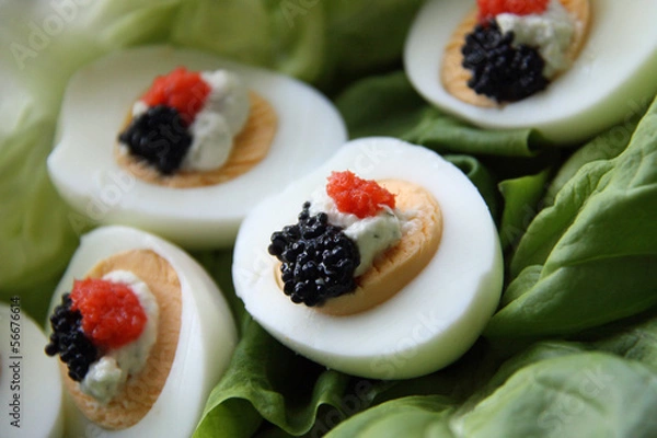 Fototapeta Eierplatte