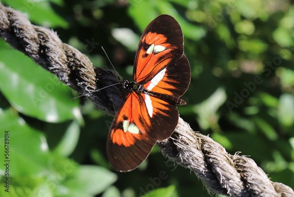 Obraz Bad Camouflage