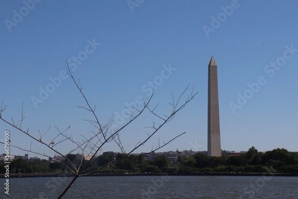 Obraz Washington Monument