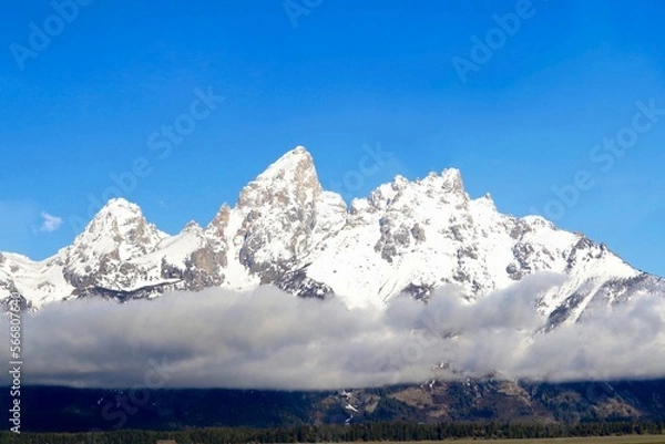 Obraz Grand Tetons