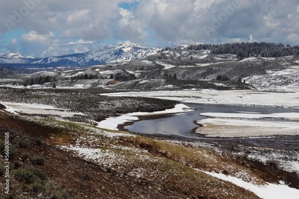 Obraz Hayden's Valley