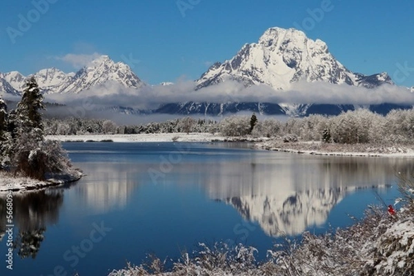 Fototapeta Mt. Moran & Oxbow Bend