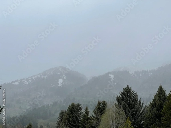 Obraz Tetons Shrouded in Mist