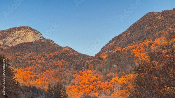 Obraz Scenic View in the Fall