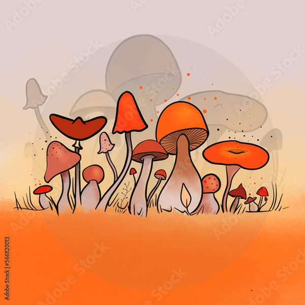 Fototapeta Champignons