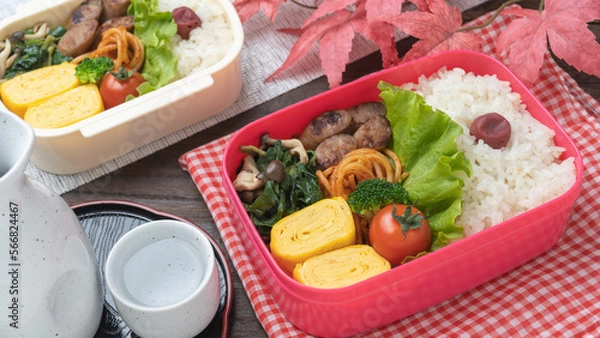Fototapeta 紅葉とお弁当と日本酒