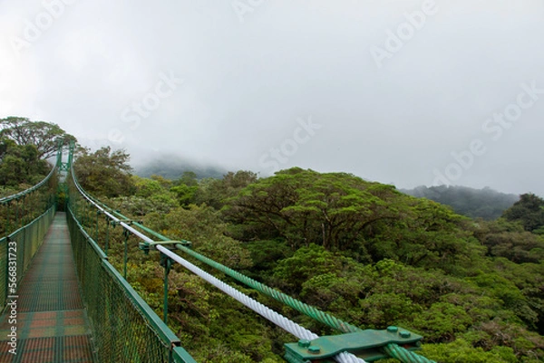 Obraz view of the mountains