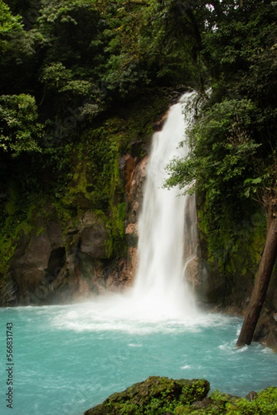 Obraz waterfall in the forest