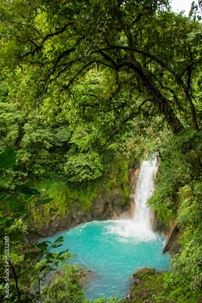 Obraz waterfall in the forest